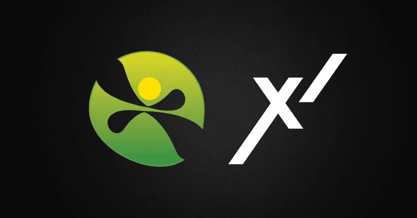 Redesign i migracja rehafit.org – WordPress bez Elementora, customowy motyw i 61 przekierowań 301